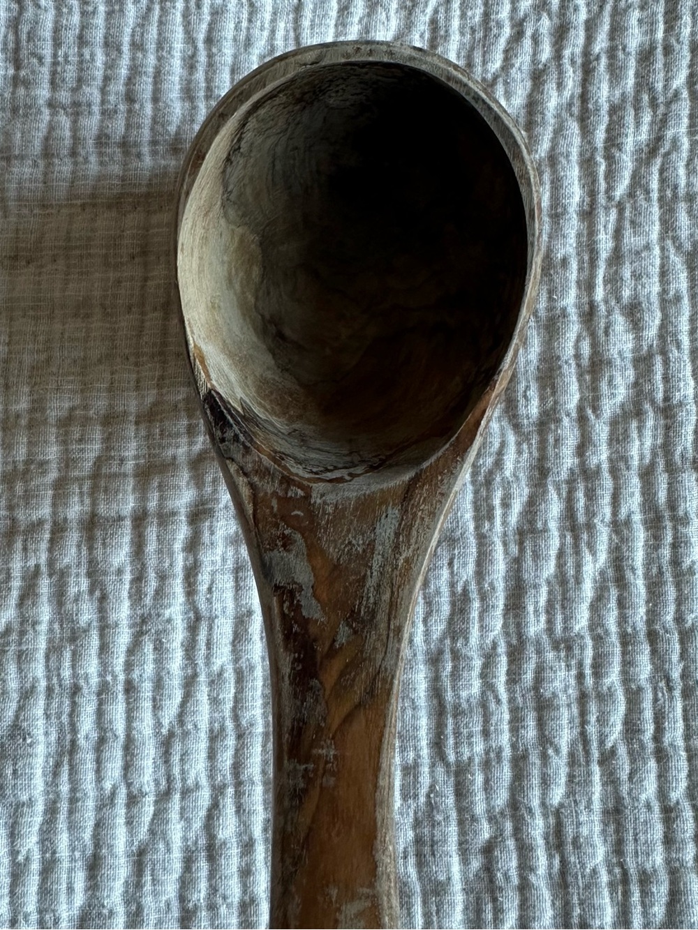 Sur La Table Italian Olivewood Ladle Cooking Utensil